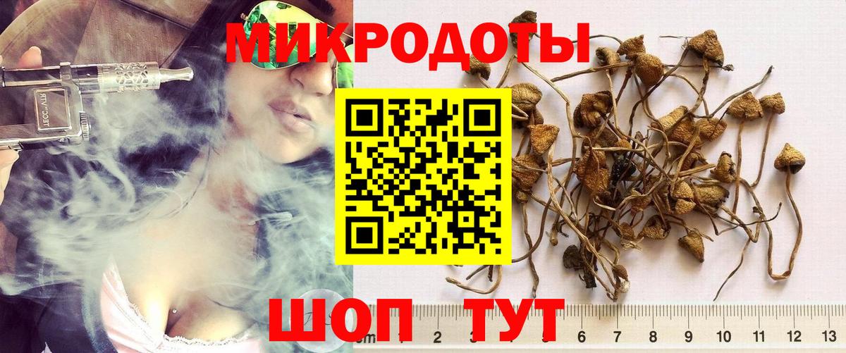 Артёмовский  Галлюциногенные грибы ЛСД  Вход с VPN 